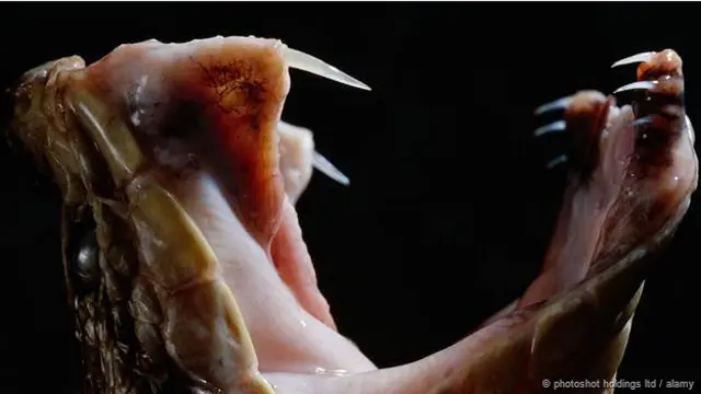 फ़ाइल फोटो