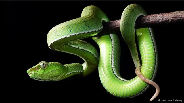 फ़ाइल फोटो