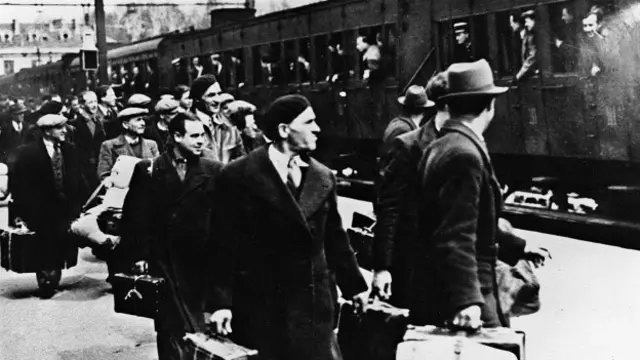 Videoda mushukdan ayol spermasi korsatilgan.