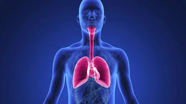 Phổi của con người không có khả năng thở chất lỏng