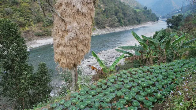 बहुत से नेपाली दोनों देशों के बीच जल संधियों पर भी सवाल उठाते हैं