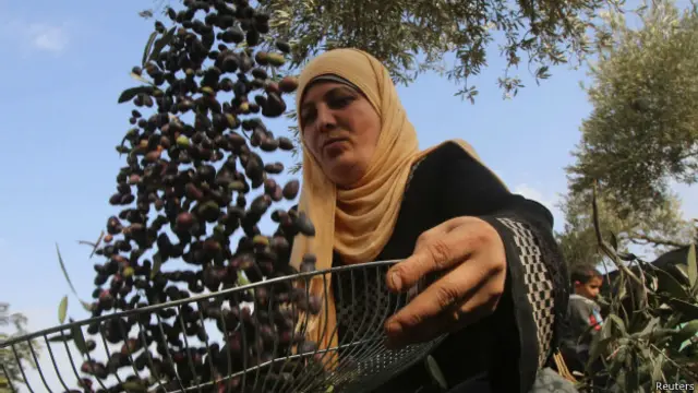 Mujer palestina con olivas