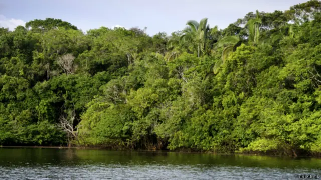 Selva del amazonas