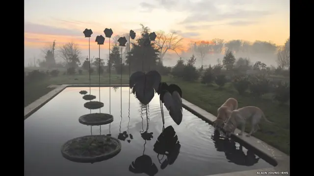 Ikki erkak bir ayolni sikishmoqda (foto)