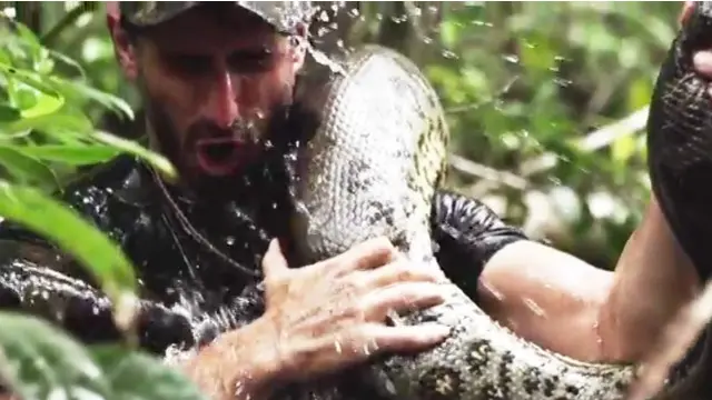 Imagens do programa, exibido pelo Discovery Channel, mostram Rosolie 'atracado' com a serpente