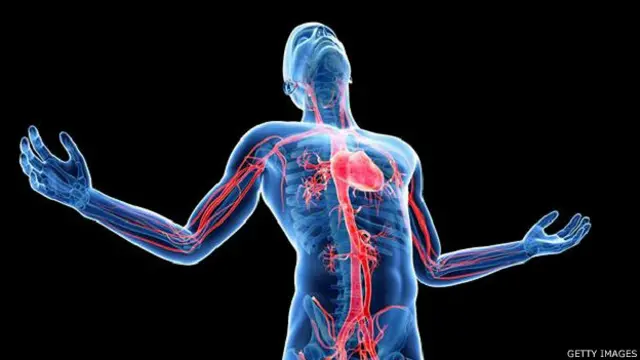 फ़ाइल फोटो