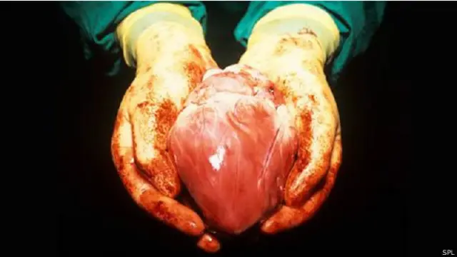 फ़ाइल फोटो