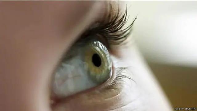 फ़ाइल फोटो