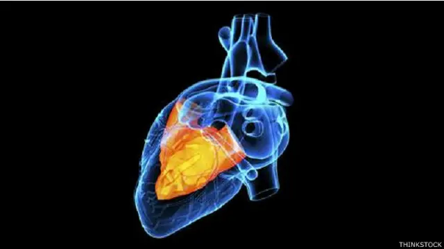 फ़ाइल फोटो