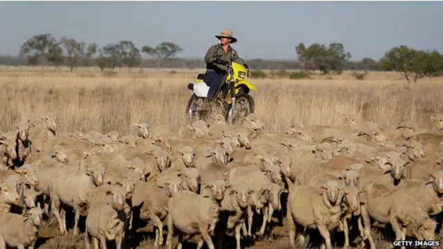 Скотарство належить до головних галузей штату