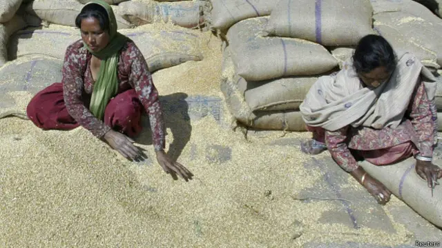 गेहूं (फाइल फोटो)