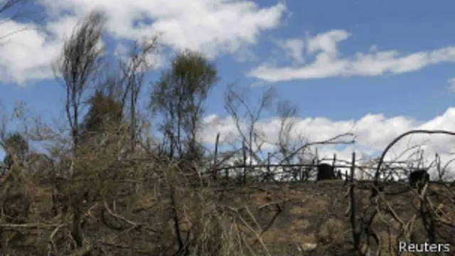 Zona deforestada en Perú
