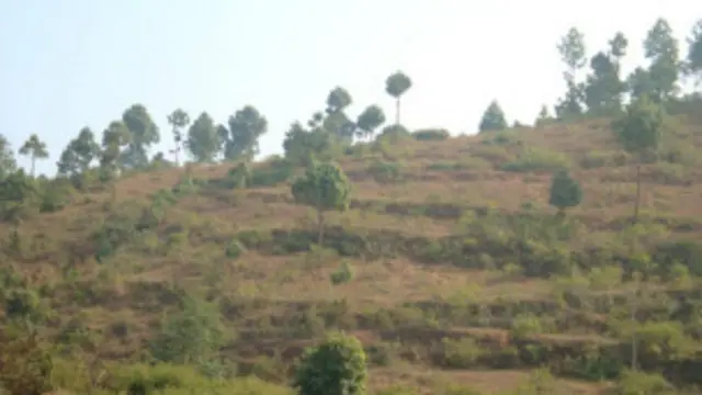 ट्रस्टको सम्पति राष्ट्रिय हित र कानुन अनुसार आय आर्जन हुने कार्यमा लगानी गर्ने बताइएको छ।