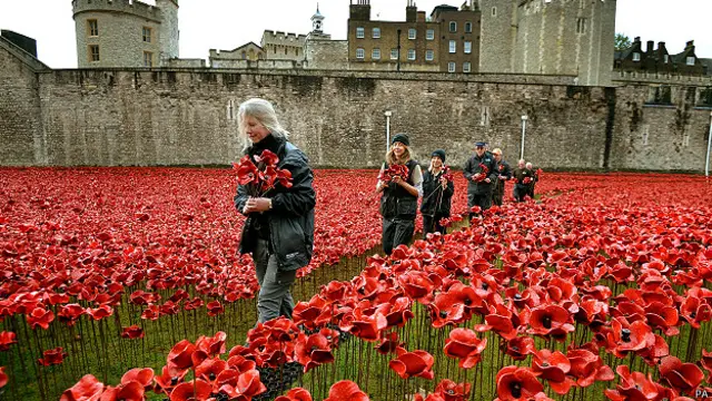 Инсталляцию у лондонского Тауэра "Окровавленные земли и красные моря" создал Пол Камминс