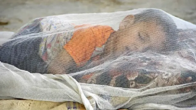 افریقہ میں جہاں ملیریا سے 90 فی صد اموات ہوتی ہیں وہاں بھی اس کے کیسوں میں زبردست کمی آئی ہے