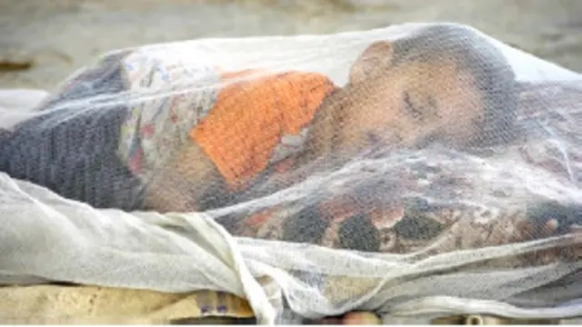 मलेरिया, मच्छरदानी