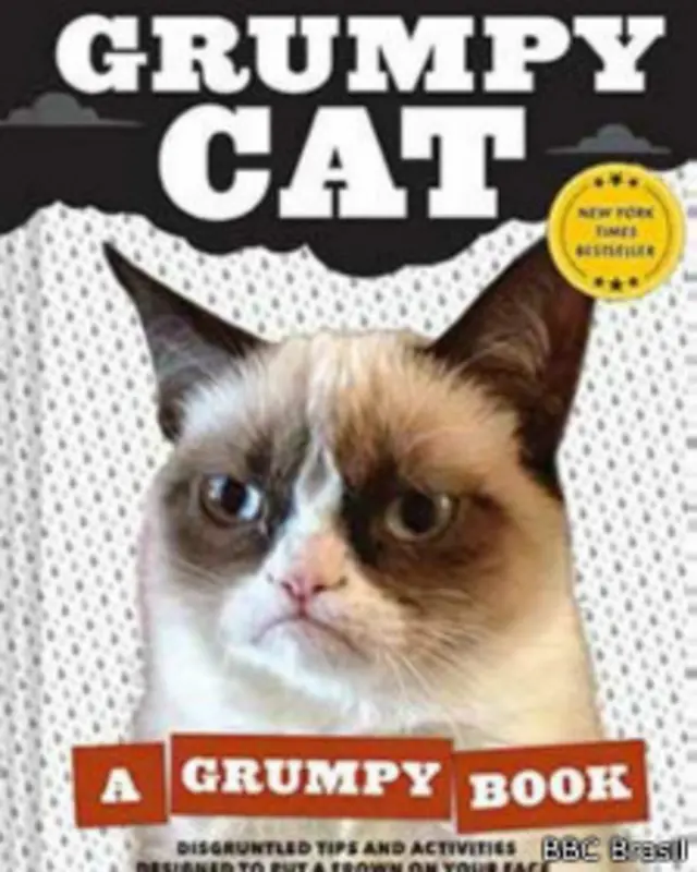 Livro da Gata Emburrada