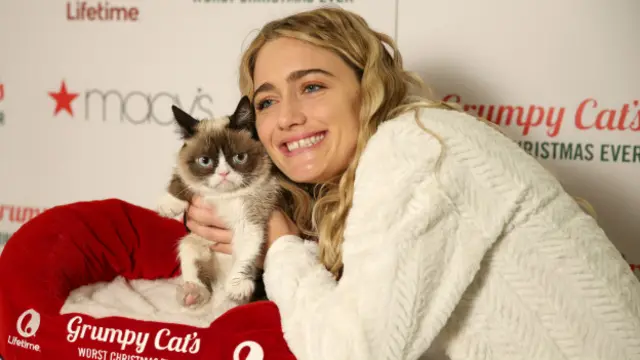 Gata emburrada e sua dona