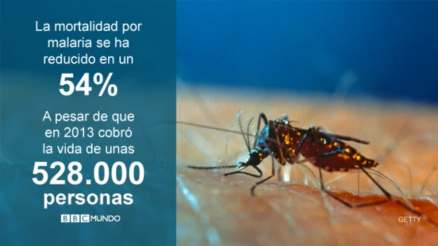 Malaria, en cifras