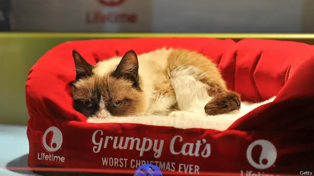 Lifetime celebrates 'Grumpy Cat's Worst Christmas Ever' at Macy's