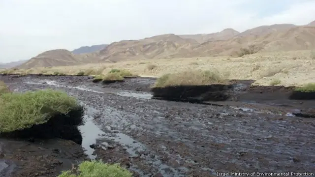 разлив нефти в Израиле