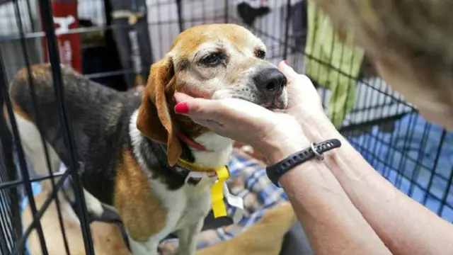 Algumas empresas valorizam a experiência do candidato fora do ambiente do trabalho, especialmente se houver relação com a vaga em questão