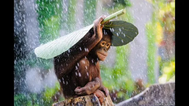 Ruski Tureme porno video