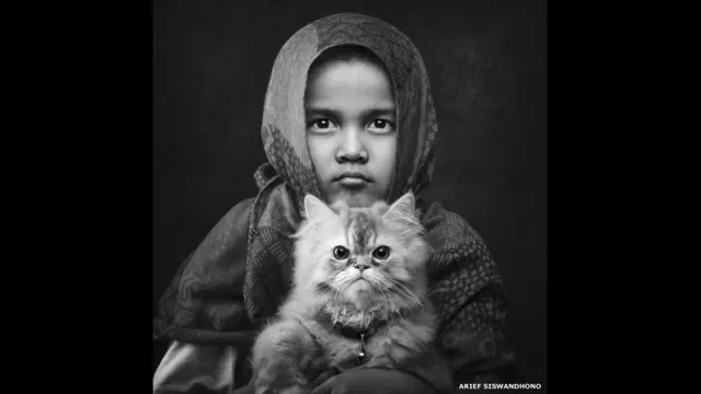 Serena Grande erotik rasmlar