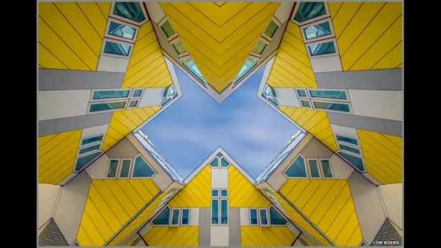 Nopok mushuk fotosuratlar