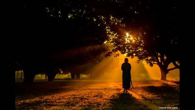 Ukraina talabalar porno