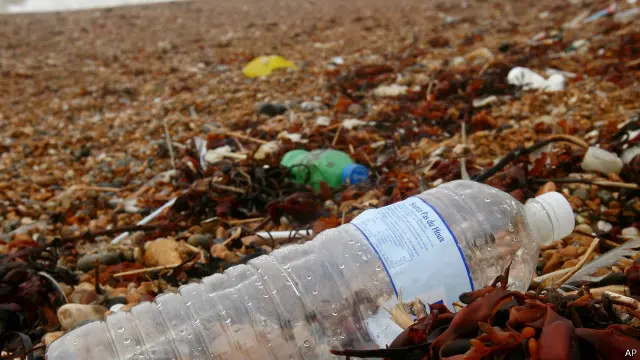 கடற்கரையோரம் கொட்டப்படும் பிளாஸ்டிக் கழிவுகள் 