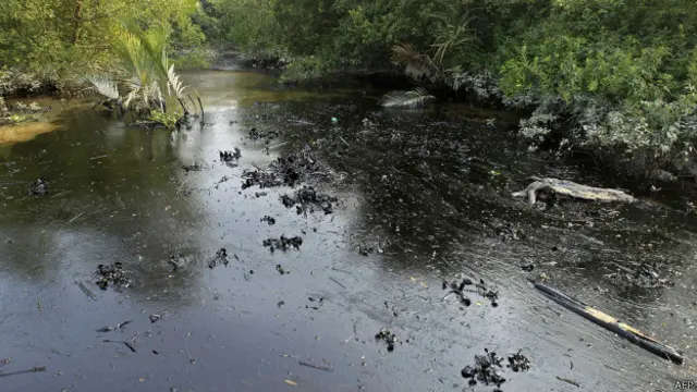 சுந்தரவனக்காட்டின் எண்ணெய்க்கசிவு