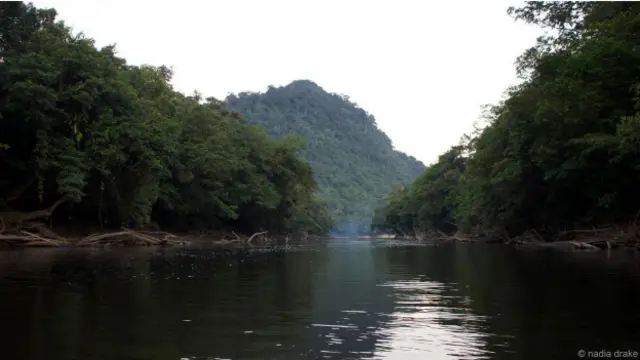 Река Бурак на Борнео