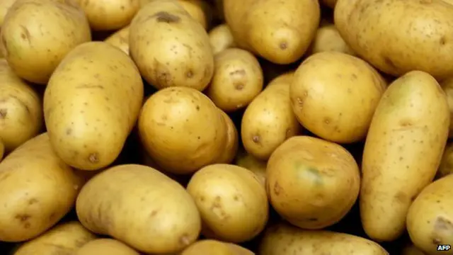 कनाडा आलू