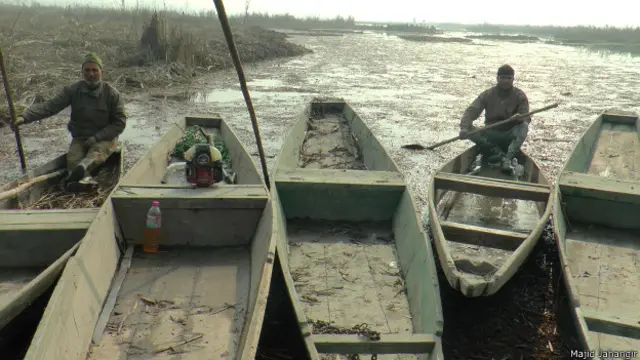 कश्मीर झील, नाववाले