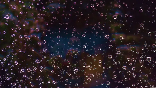 Фото: Урсула