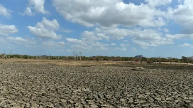 تحقیق کے مطابق ماحولیاتی تپش سے موسم میں شدت پیدا ہو جائے گی اور ہر سال دوسرے سال سے مختلف ہو گا