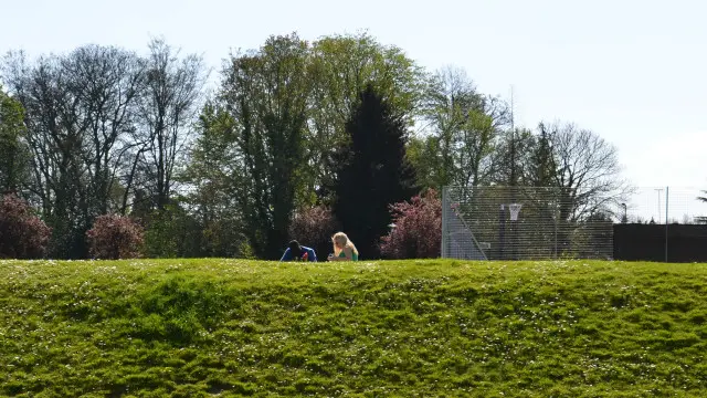 同学们在学校主楼后面修整漂亮的草地上聊着天