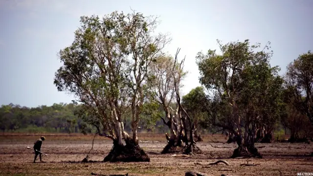 ऑस्ट्रेलिया के मूल निवासी, घड़ियालों के शिकारी