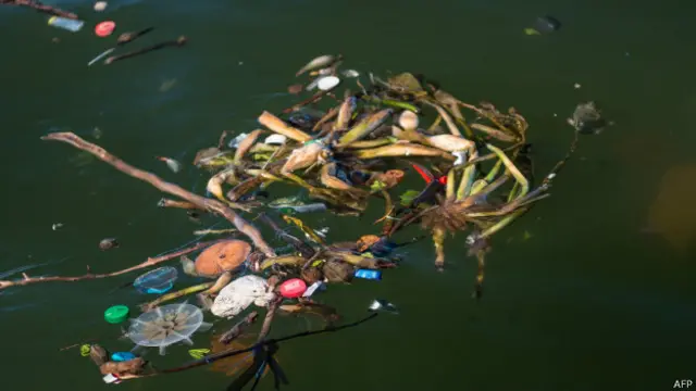 Мусор в заливе Гуанабара