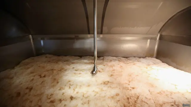 Fermentación de cerveza