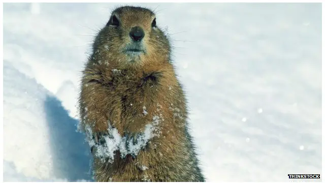 قطبِ شمالی کے منجمد علاقے میں 15 ہزار ارب ٹن کاربن کا ذخیرہ موجود ہے