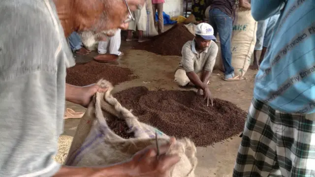 Karafuu hukusanywa kwa kituo. Kuna vituo vya kiserikali vitatu vya kusanyaji karafuu katika Pemba. Wakulima kutoka Konde hupeleka mazao yao Chake Chake. kuchagua nzuri na mbaya kwa kituo cha matibabu