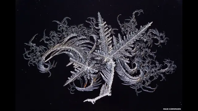 Эстониялик Маие Кринманн фотосида деразадаги муз акс этган.