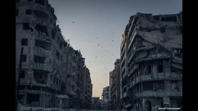 Суриянинг Хомс шаҳрида вайрон этилган уйлар устида парвоз қилаётган қушлар. Тасвирчи Сергей Пономарёв.