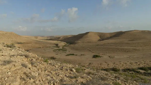 утро в Негеве (Израиль) недалеко от фермы Naot Farm.