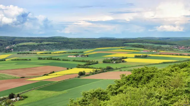 на полях Германии
