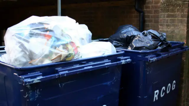 Seseorang memulung tempat sampah restoran milik Ashley Jiron.