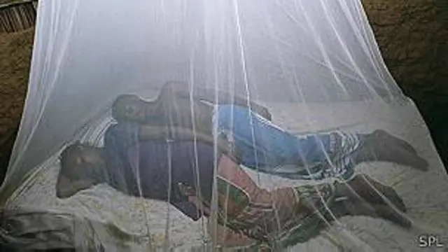 La lucha contra enfermedades infecciosas como la malaria ha contribuido a reducir la mortalidad en países en desarrollo.