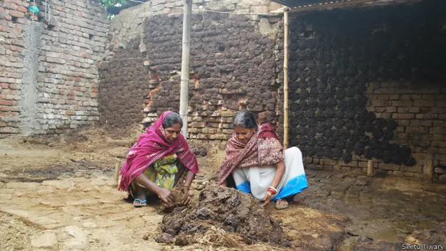 धनवन्ती, हीरामनी, बिहार